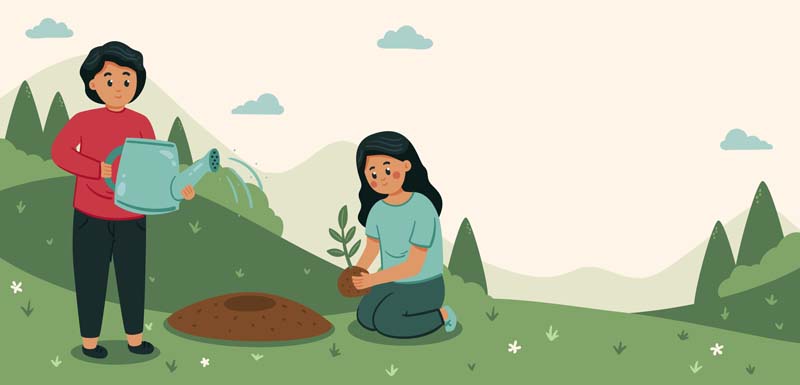 پس زمینه لایه باز نهال کاری