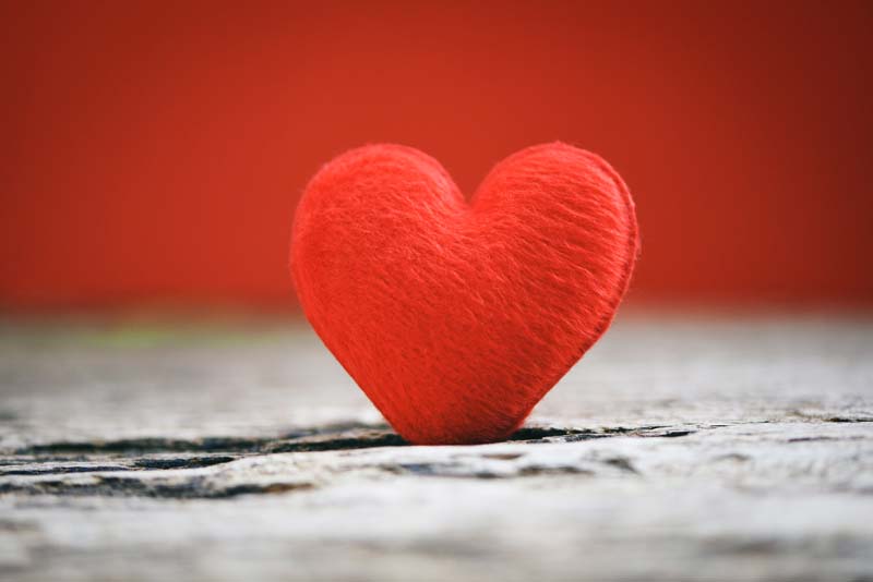 دانلود عکس قلب مخملی روی چوب ترک دار
