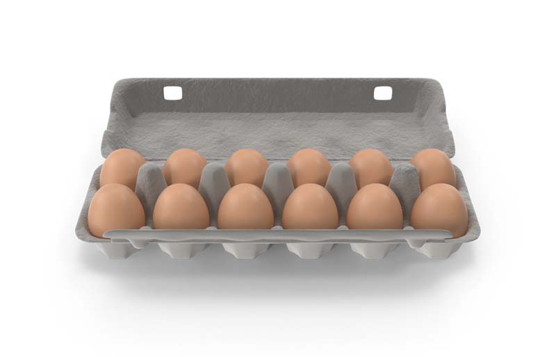 طرح دوربری شده تخم مرغ محلی با شانه