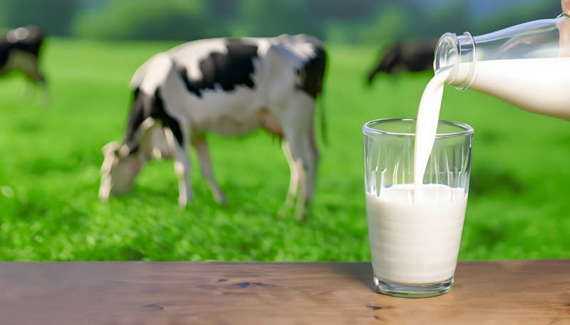 عکس لارج فرمت از چراگاه و شیشه شیر