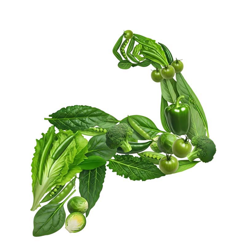 طرح دوربری شده از بازوی انسان با صیفی جات