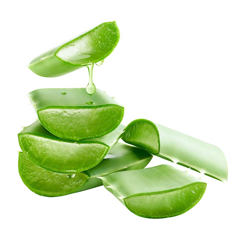 طرح دوربری شده از آلوئه ورای آب دار