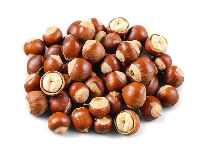 طرح دوربری شده کوپه فندوق