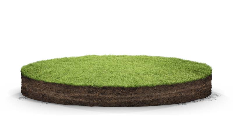 دانلود طرح لایه باز زمین چمن دایره