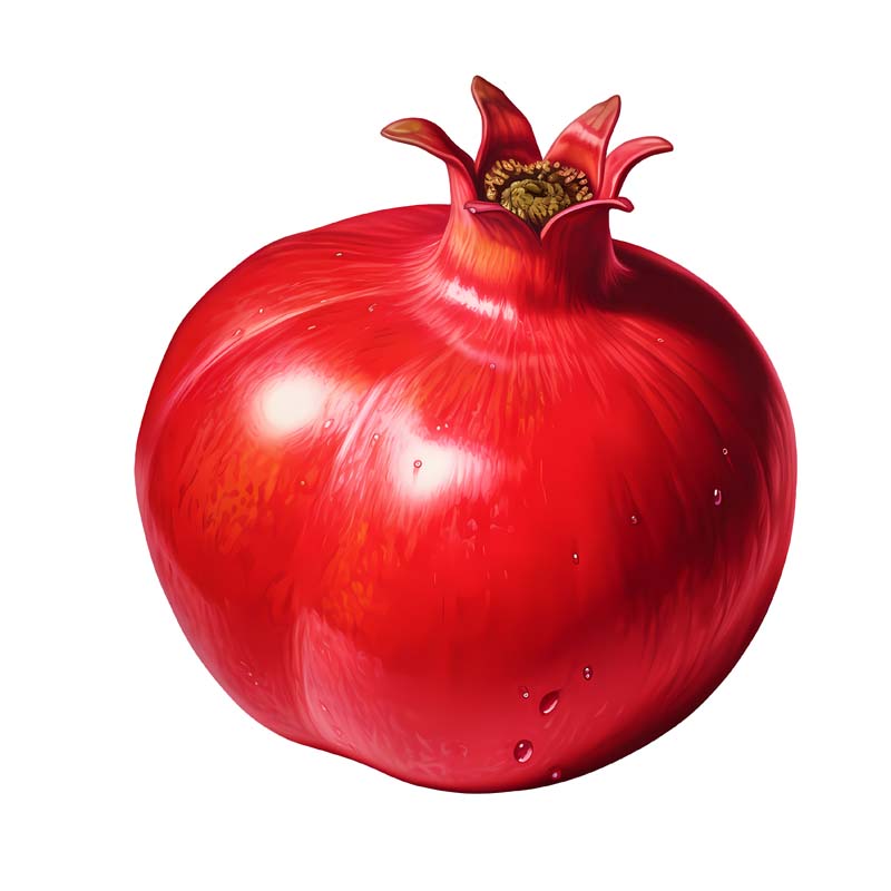 دانلود عکس png از انار