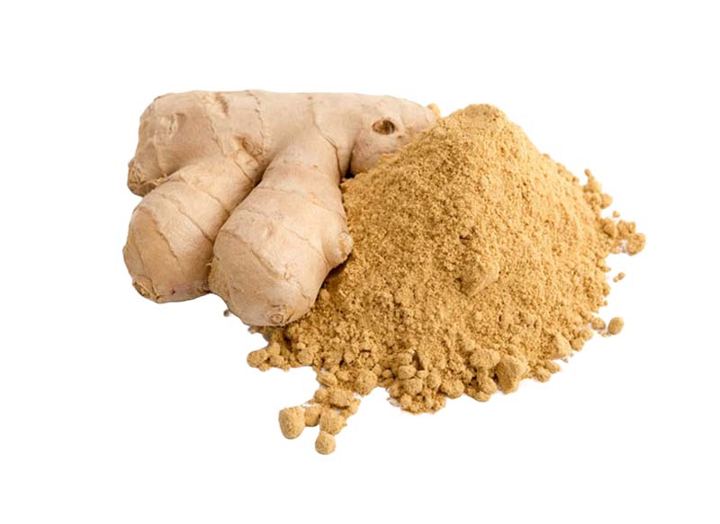 دانلود طرح پودر و گیاه زنجبیل