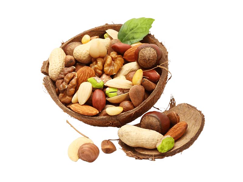 دانلود طرح آجیل تازه