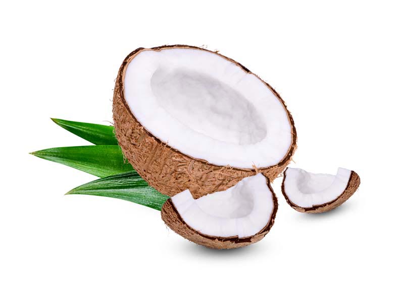 دانلود طرح نارگیل برش خورده