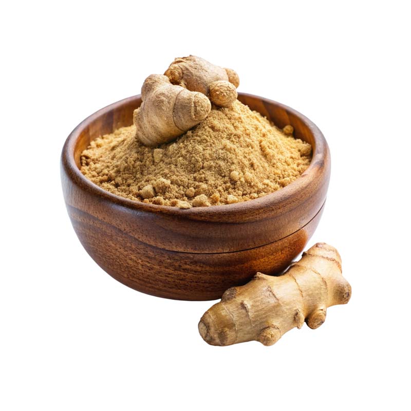دانلود طرح زنجبیل پودر شده