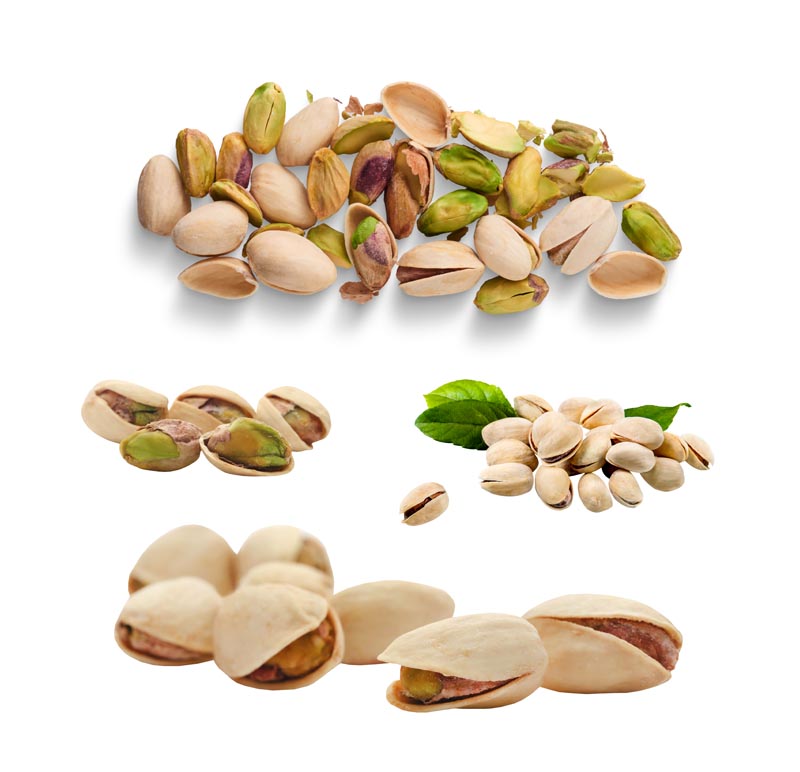 دانلود طرح انواع پسته