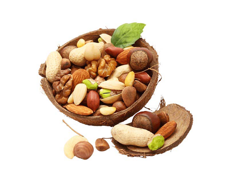 دانلود طرح آجیل در پوست نارگیل