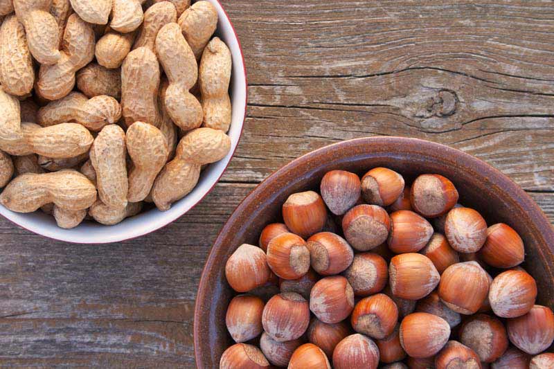 دانلود تصویر باکیفیت پیاله فندق و بادام زمینی از نمای بالا
