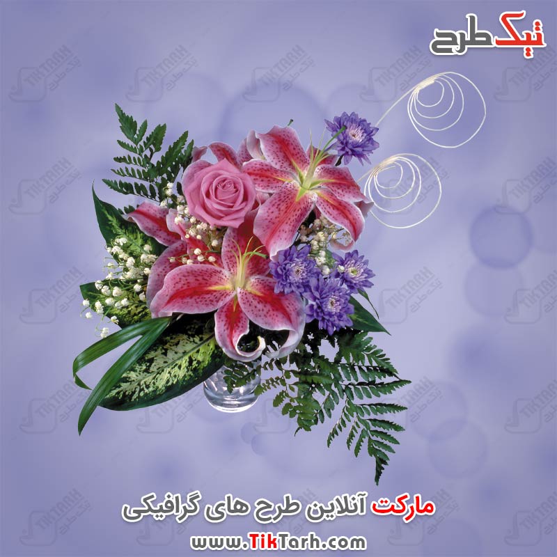 دانلود طرح لایه باز گل صورتی