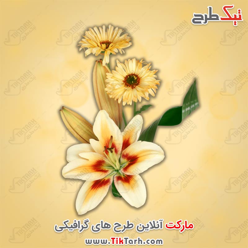 دانلود طرح لایه باز دسته گل زرد