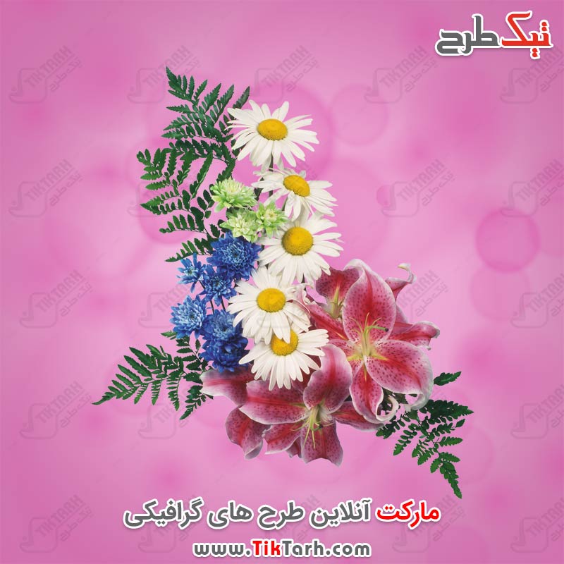دانلود طرح لایه باز دسته گل صورتی
