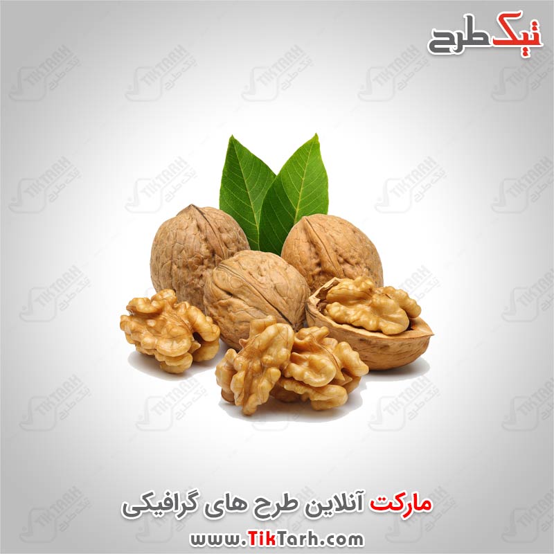 دانلود طرح گرافیکی گردو