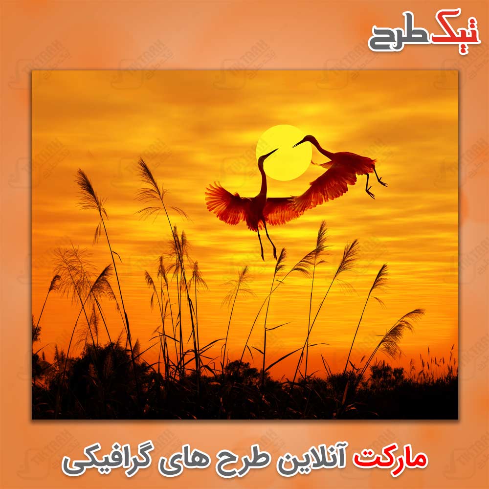 دانلود عکس لارج فرمت لک لک