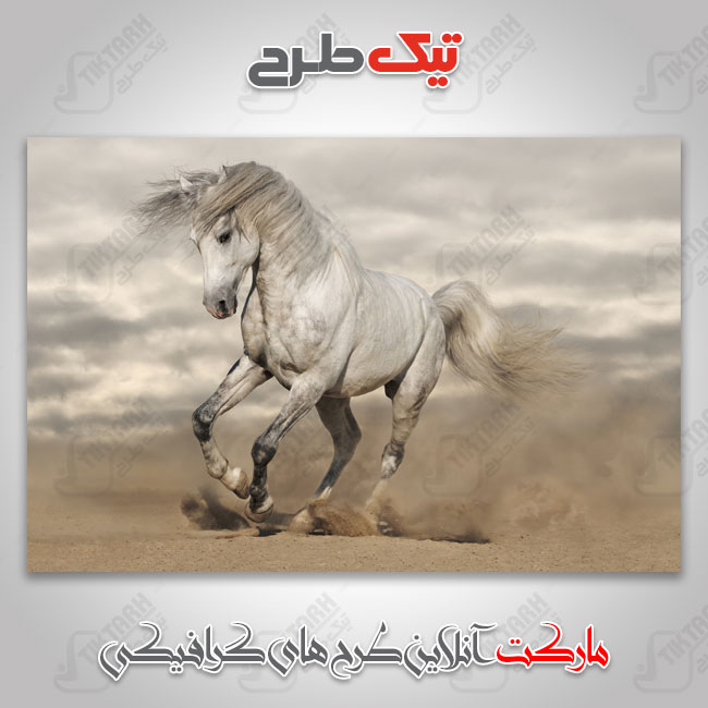 عکس با کیفیت اسب در حال دویدن