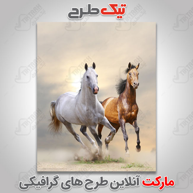 عکس با کیفیت اسب های سفید و قهوه ای