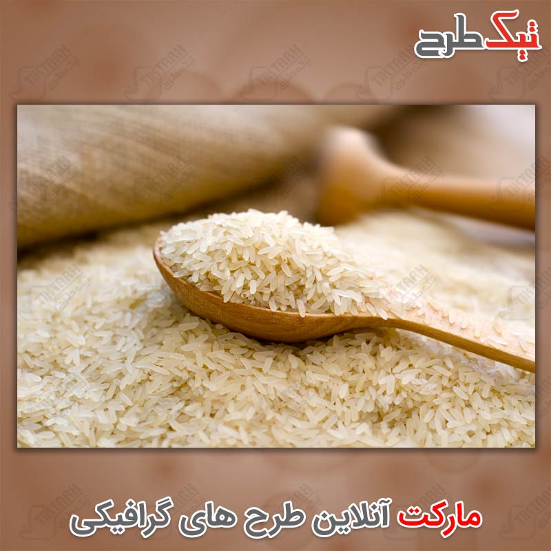 دانلود عکس لارج فرمت دانه های برنج
