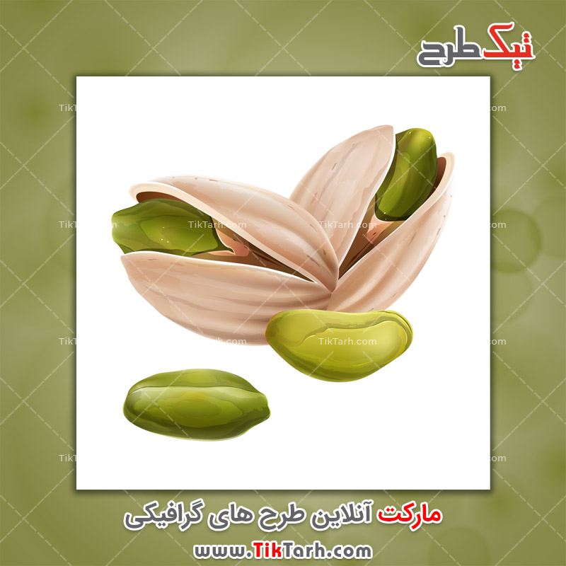 دانلود طرح لایه باز پسته
