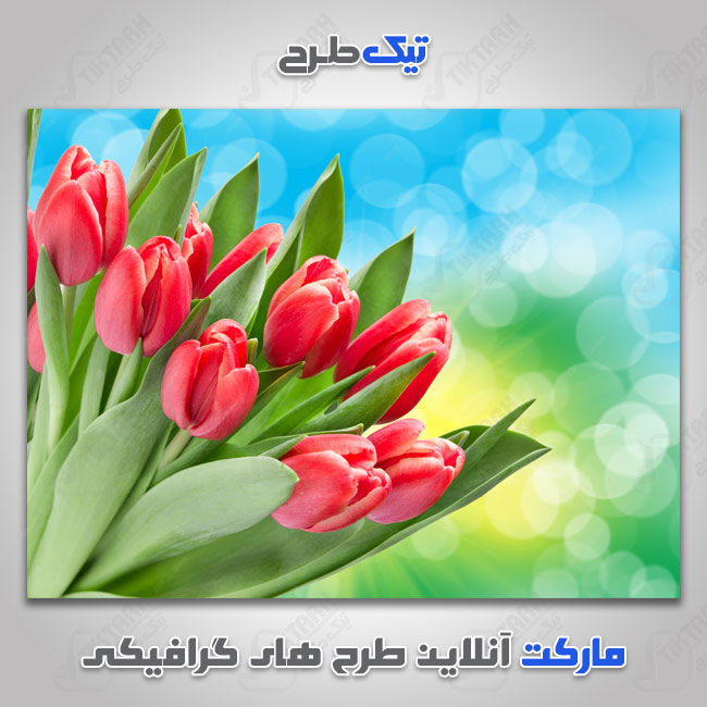 دانلود عکس گرافیکی گل های قرمز