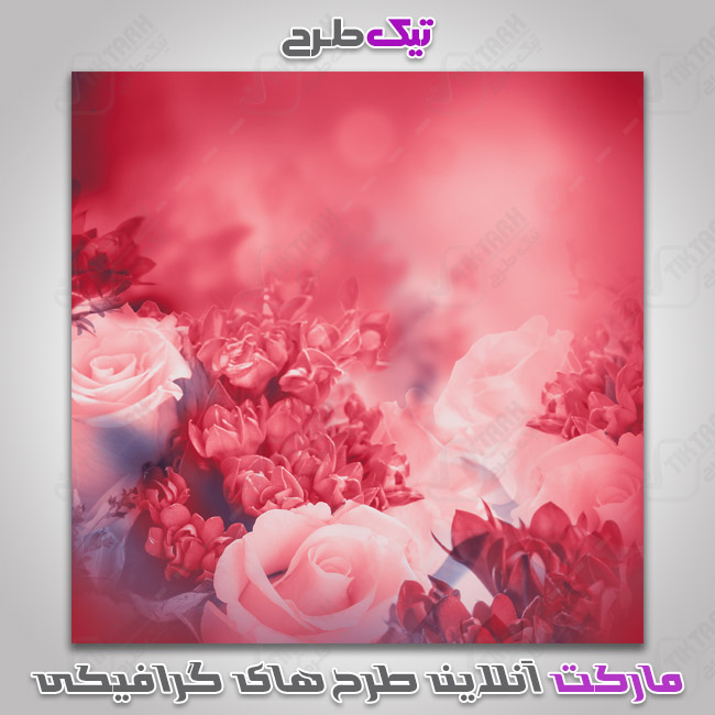 دانلود عکس گرافیکی گلهای بنفش و صورتی