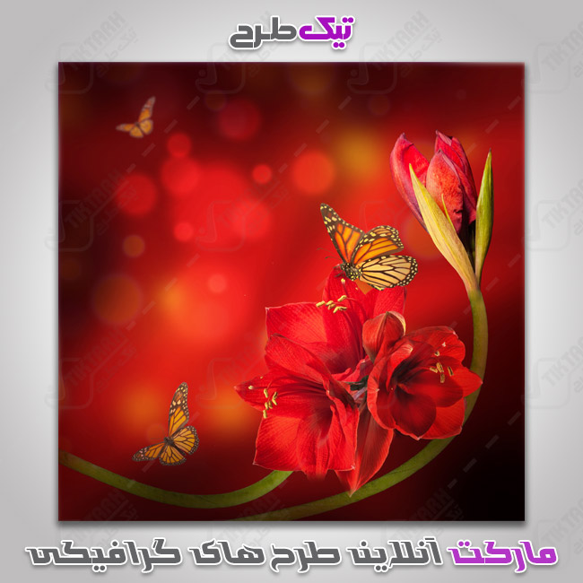 دانلود عکس گرافیکی گل قرمز و پروانه