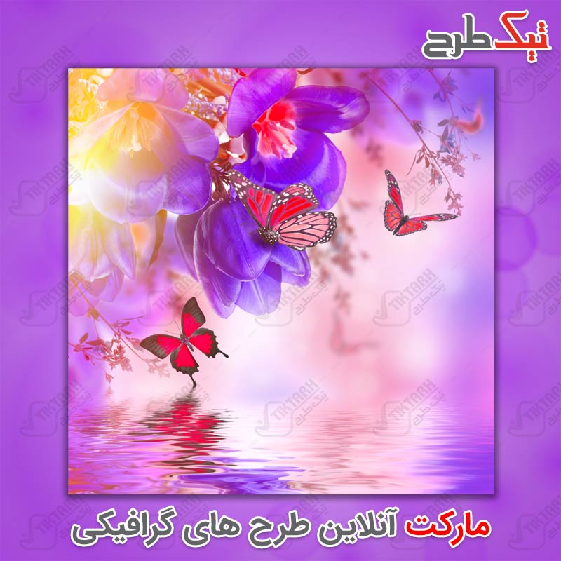 دانلود تصویر لارج فرمت گل بنفش و پروانه