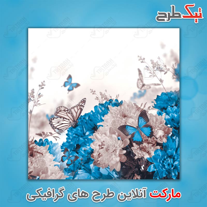 دانلود عکس با کیفیت گل های سفید و آبی
