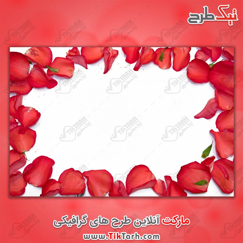 دانلود عکس گرافیکی گلبرگ های قرمز