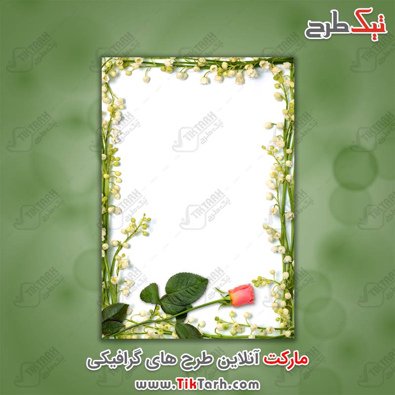 عکس گرافیکی گل رز صورتی