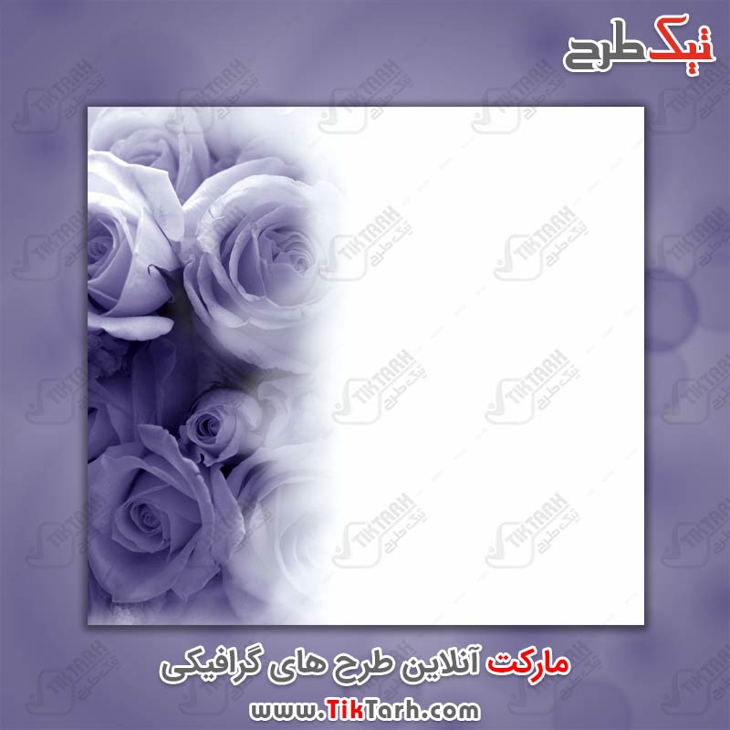 عکس گرافیکی گل های رز بنفش