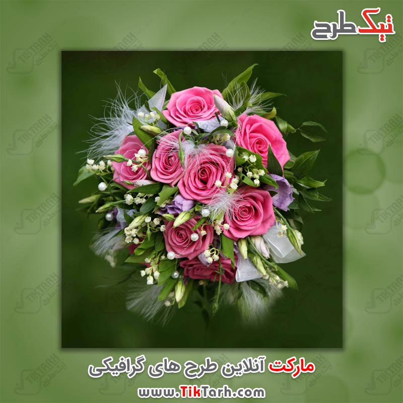 دانلود عکس دسته گل رز صورتی