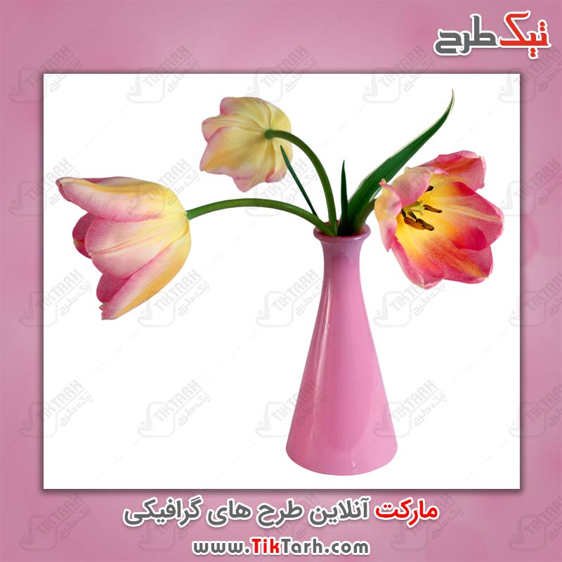 دانلود تصویر لارج فرمت گلدان گل