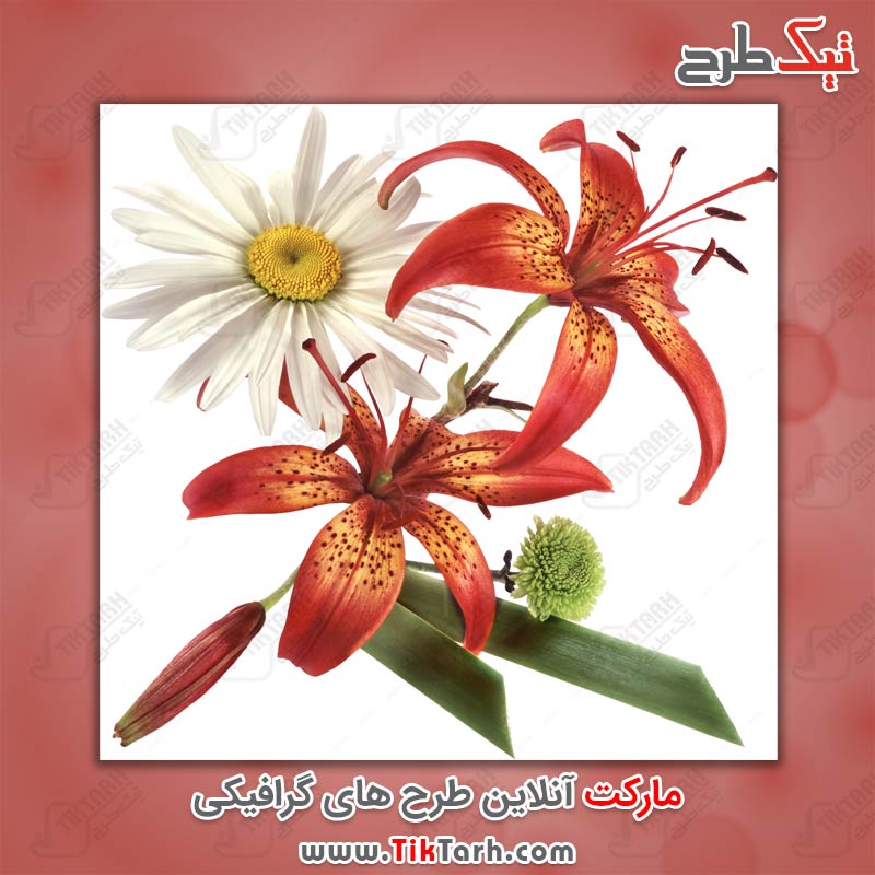 تصویر لارج فرمت دسته گل زیبا