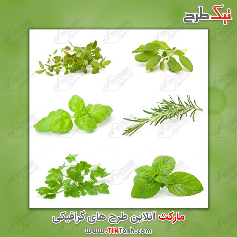 دانلود عکس برگ سبزیجات
