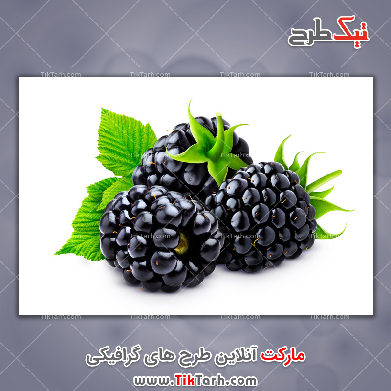 تصاویر لارج فرمت توت قرمز