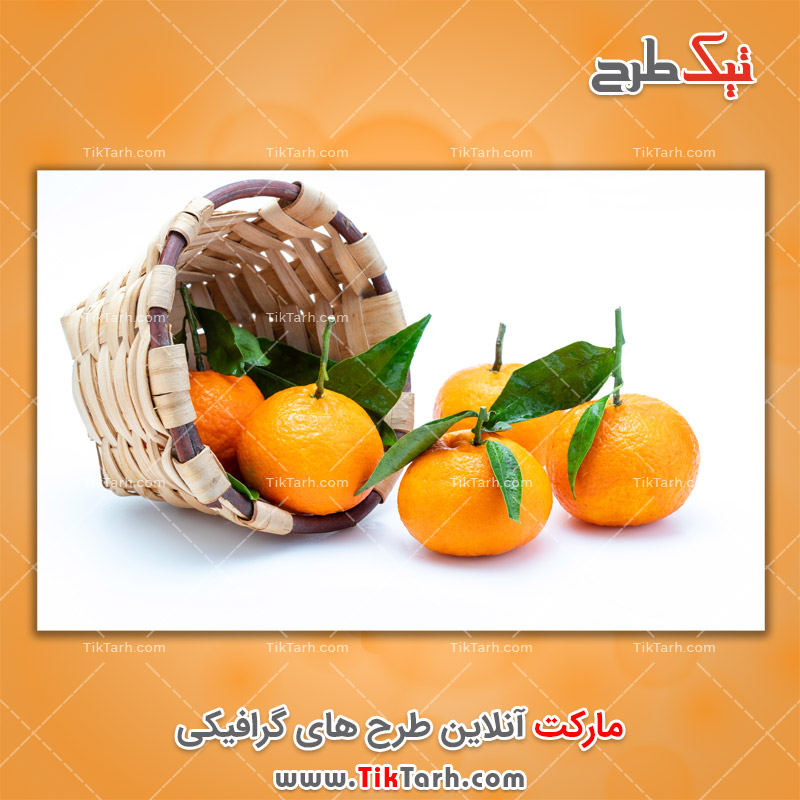 دانلود تصاویر لارج فرمت نارنگی