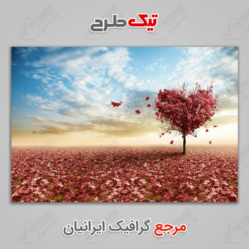 عکس لارج فرمت درخت قلب عاشقانه