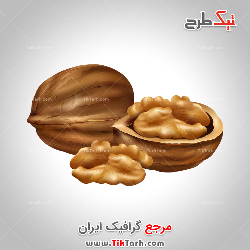 دانلود طرح لایه باز گردو و مغز گردو