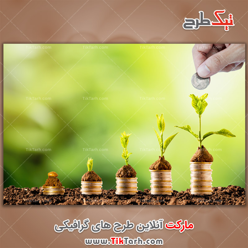 عکس لارج فرمت نمودار رشد با طرح سکه