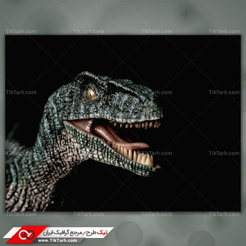 تصویر لارج فرمت دایناسور گوشت خوار گورگوسور