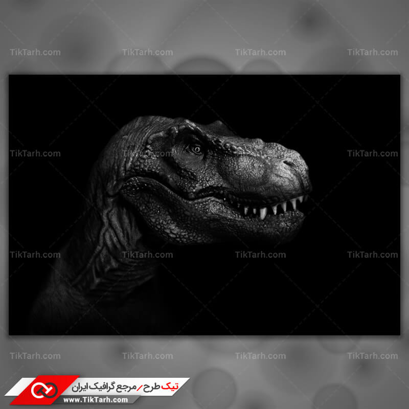 تصویر لارج فرمت دایناسور درنده