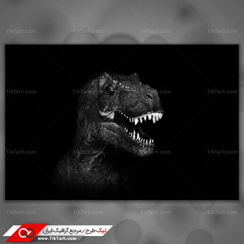 دانلود تصویر با کیفیت دایناسور گوشت خوار مشکی