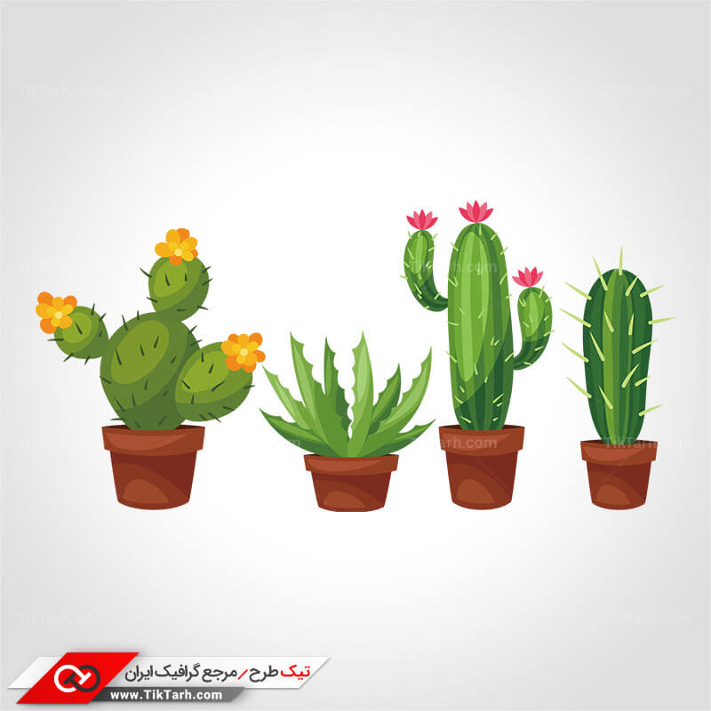 طرح گرافیکی کلیپ آرت انواع کاکتوس ها