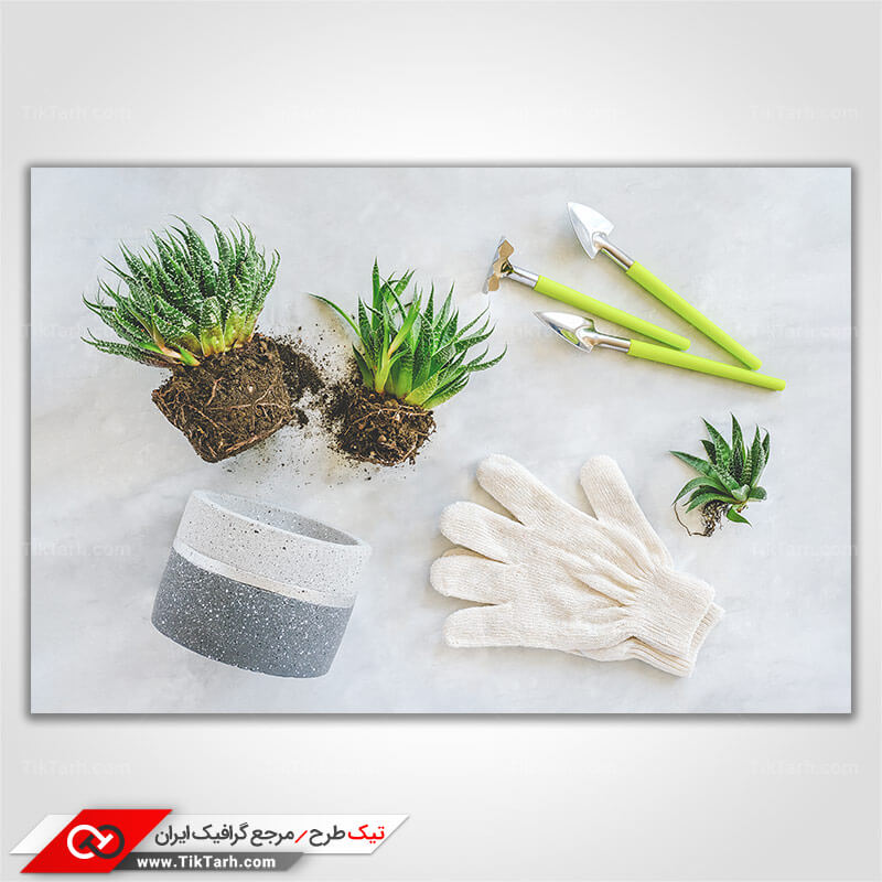 دانلود عکس باغبانی
