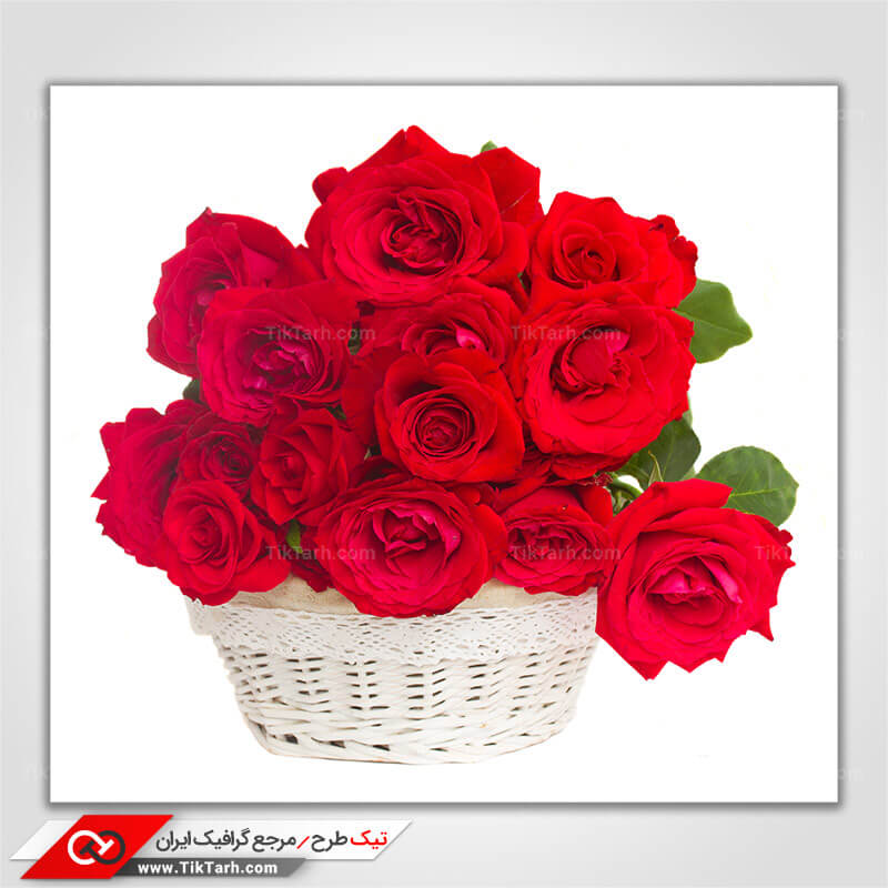 دانلود عکس سبد گل رز قرمز