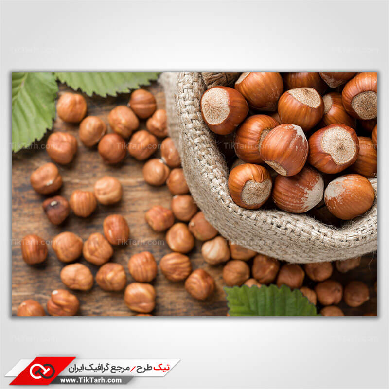عکس باکیفیت مغز فندق