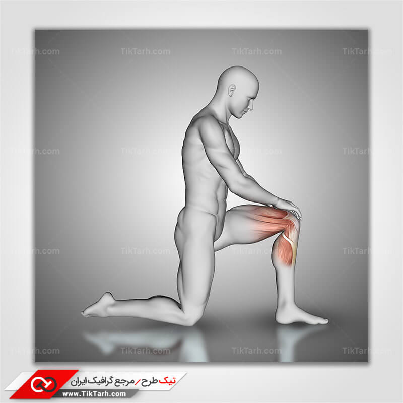 دانلود تصویر گرافیکی درد زانو